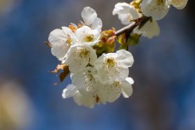 IMG_3542.jpg