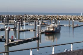 IMG_6982.JPG